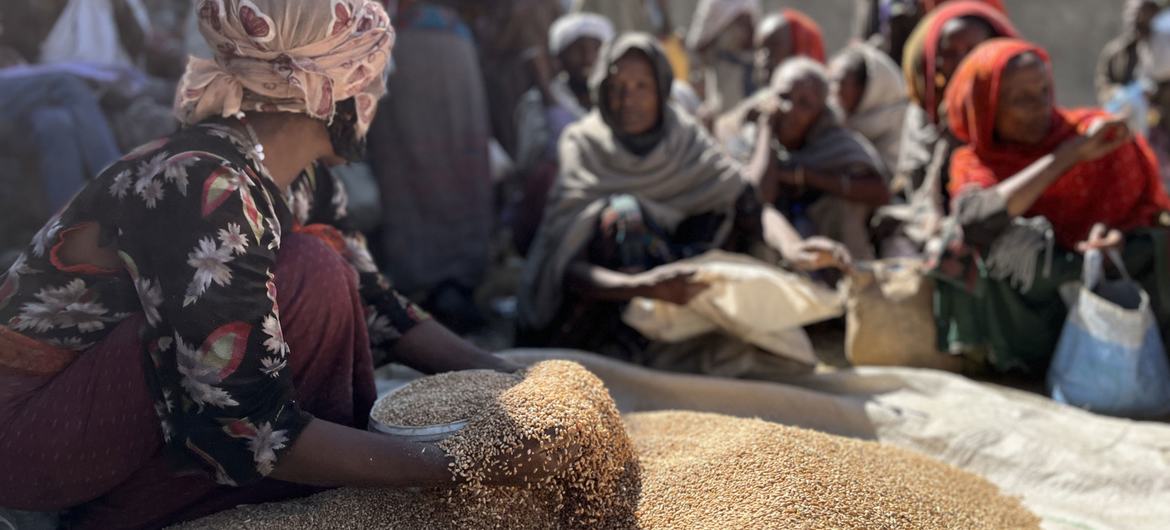 WFP Pauses Food Distribution In Ethiopia Following Significant   Image1170x530cropped 